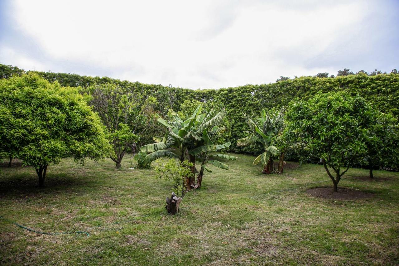 Adega Do Mota Villa Vila Franca do Campo Ngoại thất bức ảnh